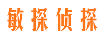 武功侦探